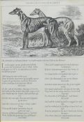 'The Ballard of Master McGrath' (Lord Lurgan's champion coursing greyhound), print,