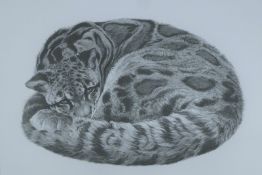 HODGES, GARY (born 1954) British (AR), Serenity Clouded Leopard,