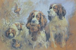 HASLEN, ANDREW (born 1953) British (AR), Spaniels, print, signed, unframed. Image 32 x 48 cm.