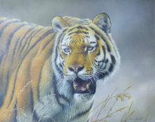 HUGHES, YVONNE (Contemporary) British (AR), 'On The Prowl - (Siberian Tiger)' 2008,