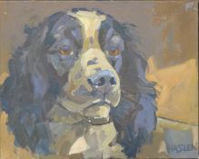 HASLEN, ANDREW (born 1953) British (AR), Springer Study, oil, signed, unframed. 40 x 50 cm.