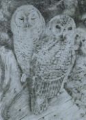 GREENWOOD, T J (born 1947) British (AR), Tawny Owl, etching, signed and numbered 97/100, unframed.
