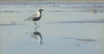 DILLON, NICOLAS (born 1966) New Zealand (AR), Grey Plover, oil, signed, framed. 39 x 75 cm.
