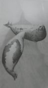 HODGES, GARY (born 1954) British (AR), Under the Ice Harp Seals, print,