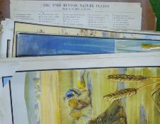 BLYTON, ENID (1897-1968) British (AR) and SOPER, EILEEN (1905-1990) British (AR), School Nature,