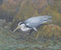 COOMBES, RODERICK (Contemporary) British (AR), Heron, oil, signed and dated 1970, framed.