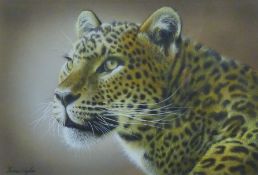 HUGHES, YVONNE (Contemporary) British (AR) 'Leopard Gaze (Head Study)', acrylic on board, signed,