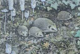 PARTINGTON SWLA, PETER (1941-2025) British (AR), Hedgehog, coloured etching,