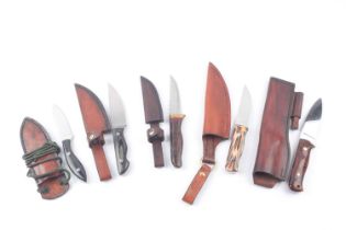 Five 'Old Oak' hunting knives, each with leather sheath