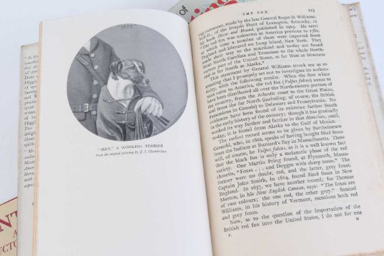 4 Vols: Fox Hunting by Jane Ridley; The Book of Foxhunting by J N P Watson; Foxhunting Theory & - Image 3 of 4