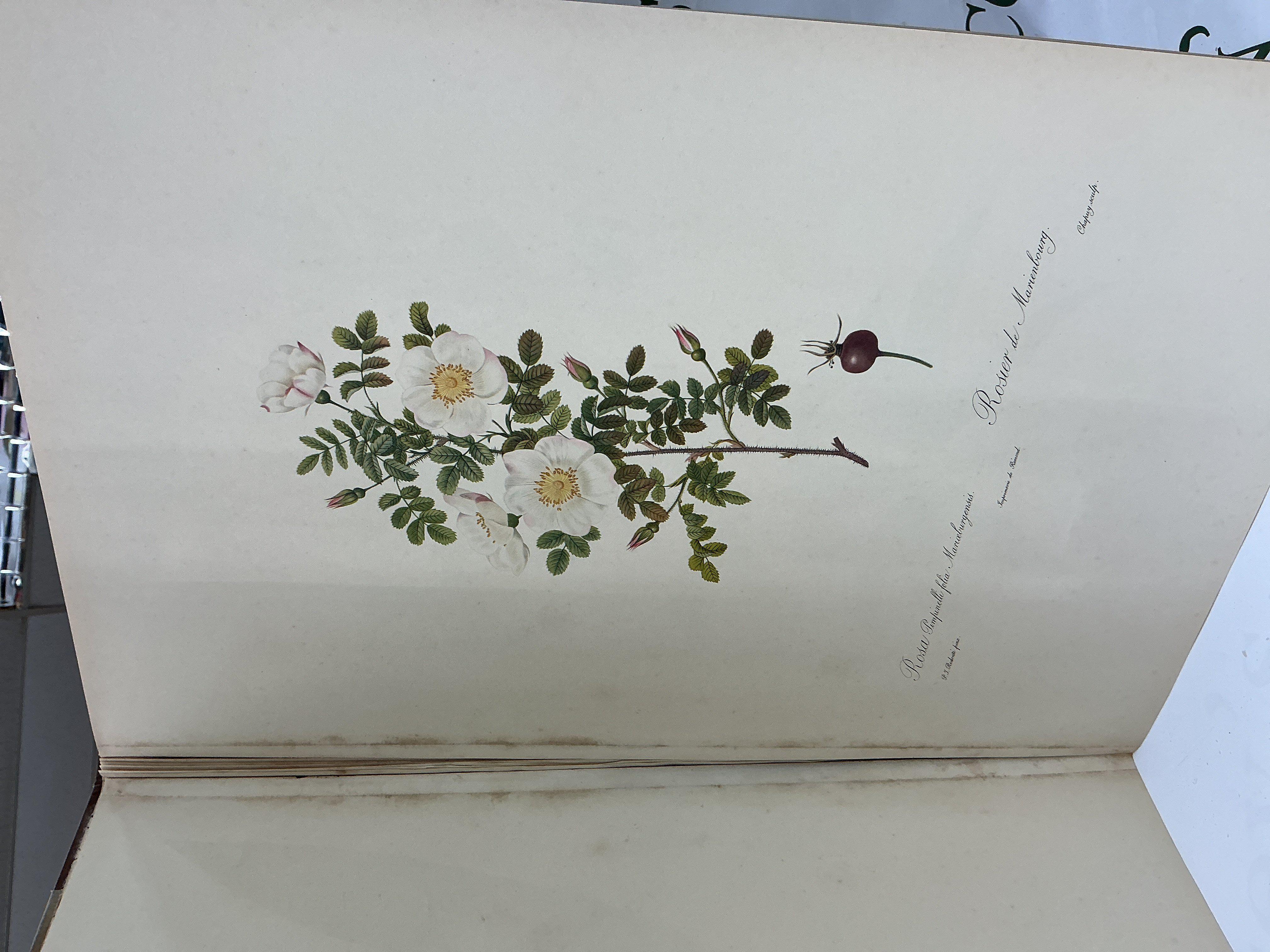 Album de redoute by Sitwell and Roger Madol. - Image 2 of 4