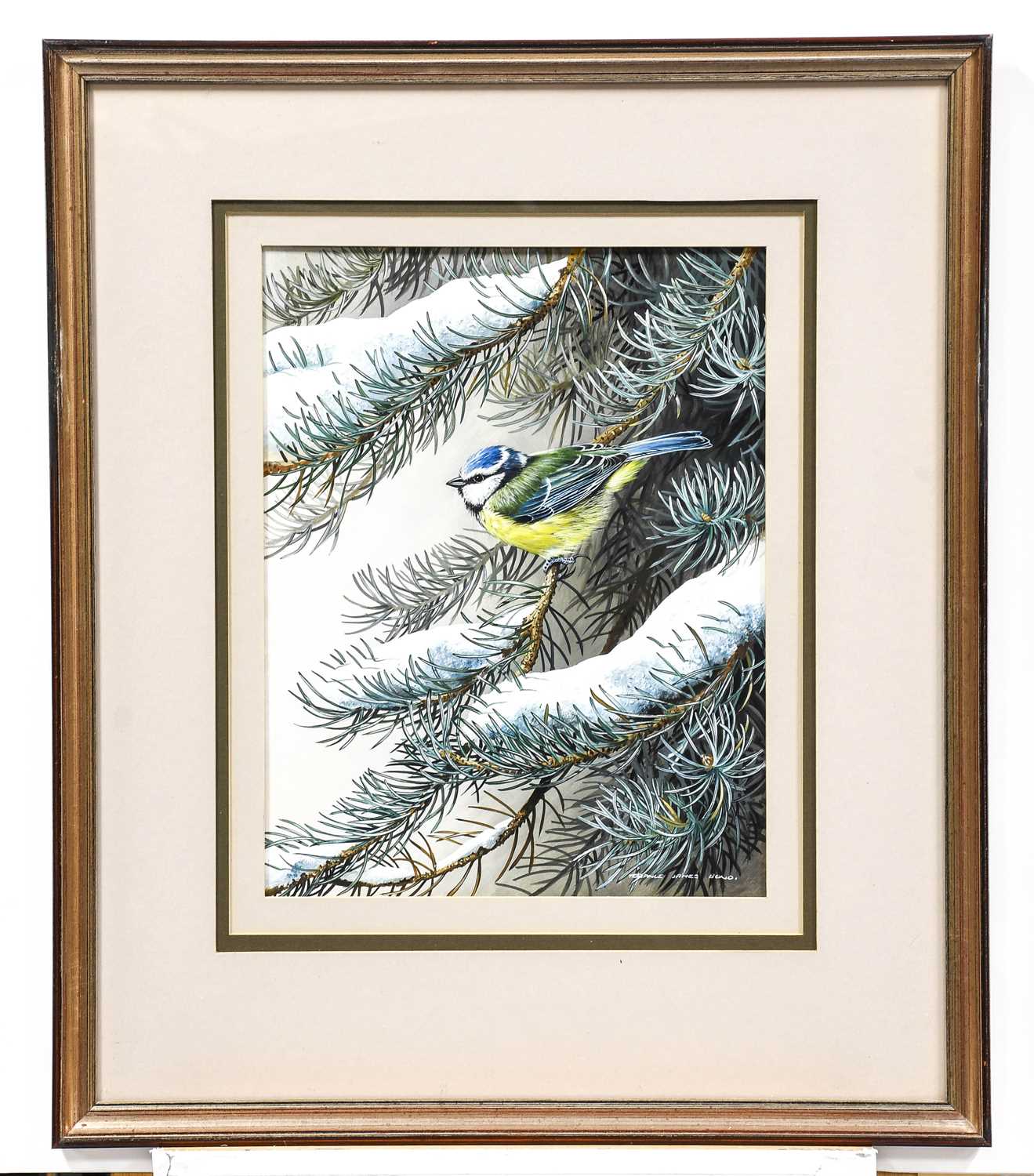 Terence James Bond (b.1946) "Great Tit" "Blue Tit" Signed, with artist's labels verso, gouache, 29cm - Image 5 of 7