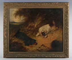 Edward Armfield (British 1817-1896) - Terriers rabbiting, oil on canvas, signed lower right, 44cm
