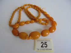 A long graduated amber necklace. 51 grams in weight.