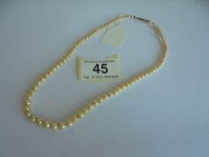 A string of pearls with 9ct gold clasp.