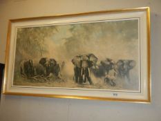 An original 1962 framed & glazed David Shepherd elephant print, signed.