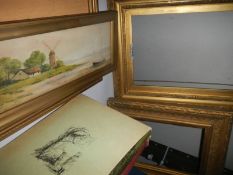 A selection of gilded picture frames.