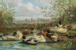 Hubert Kaplan (München 1940 - Egling 2024). Enten auf dem Weiher.