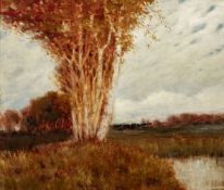 Hans am Ende (Trier 1864 - Stettin 1918). Moor bei Worpswede.