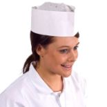 NEW - 700x Supertouch Paper Forage Hats - ER49