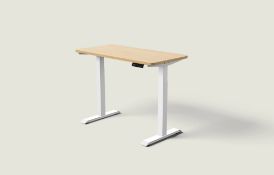 BRAND NEW FLEXISPOT STAND DESK, IN MAPLE, 130 X 68 X 14.5CM, R19-3
