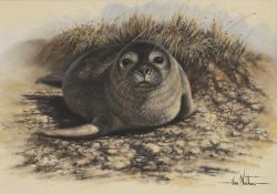 ▲ Ian Nathan (b.1954)