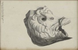 English School, 17th century