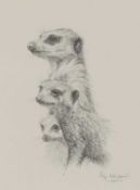 ▲ Pip McGarry (b.1955)