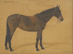 ▲ Frances Mabel Hollams (1877-1963)