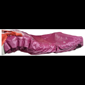 HILL-ROM P1900 TOTALCARE SPORT BED (QTY 1)