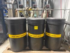 Excalibur water softening system, 1 in. Triplex