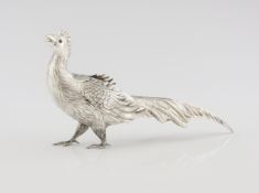 A silver pheasant by Manuel Alcino