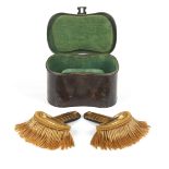 A pair of epaulettes