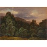 Carl Gustav Carus. „Laubwald. Landschaft mit Vögeln und Bäumen“.