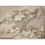 Jakob Philipp Hackert. „Pflanzenstudie“. 1777