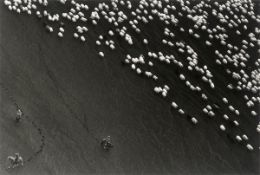 Ragnar Axelsson. ”Autumn Round up – Iceland”. 2005