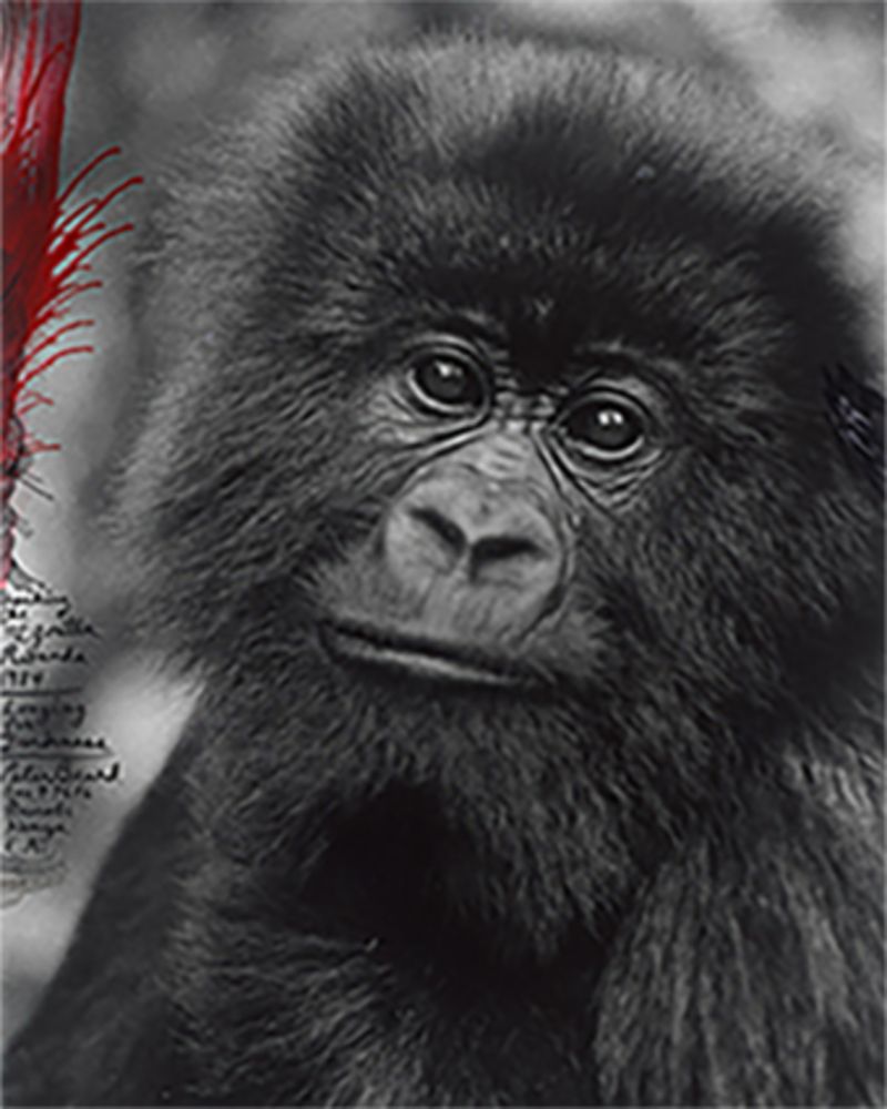 Photography Online Only, 10. bis 19. Oktober 2025