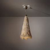 FERNANDO & HUMBERTO CAMPANA