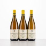 Bienvenues-Bâtard-Montrachet Regnard 2008