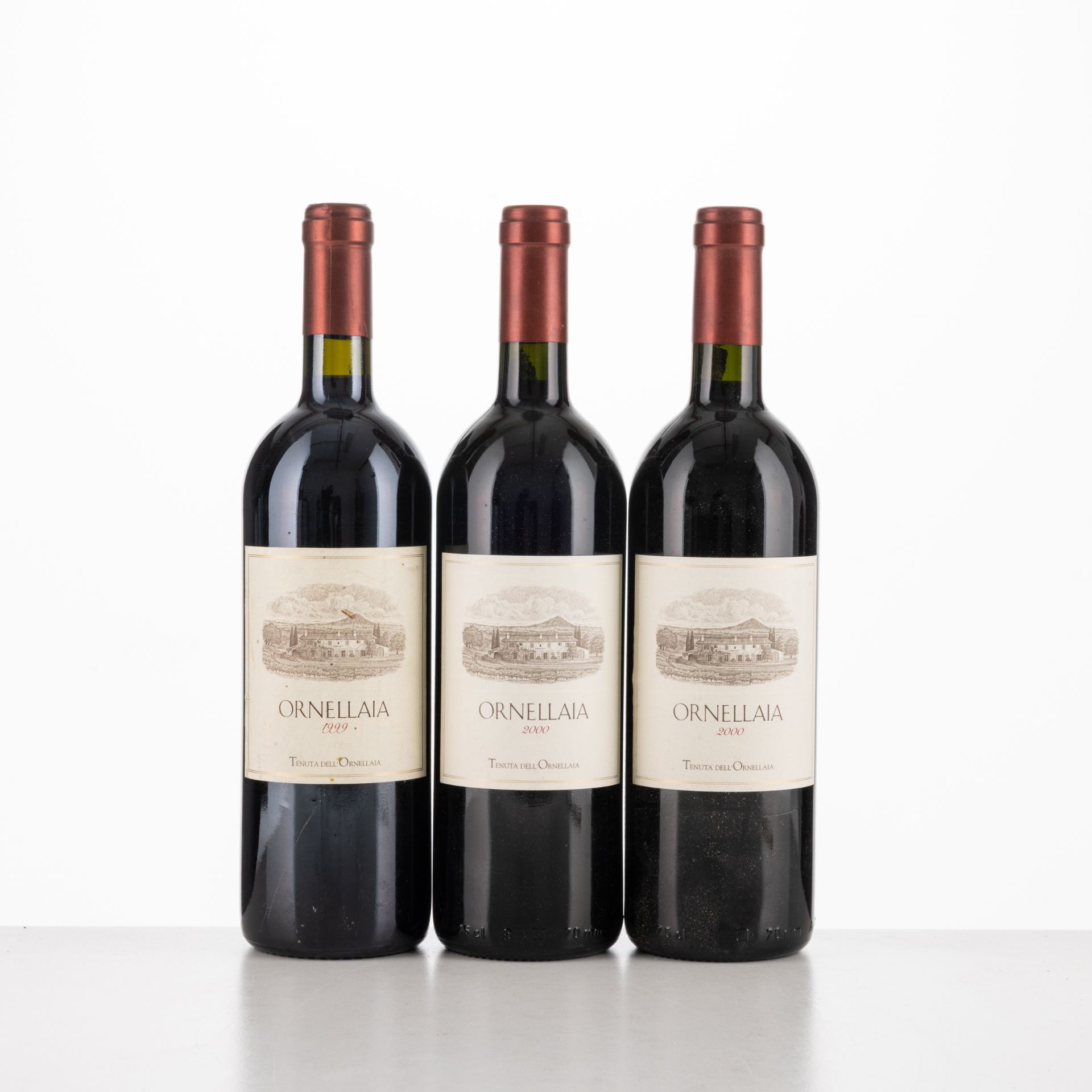 Verticale Ornellaia