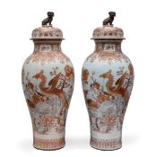 RARA ED IMPORTANTE GRANDE COPPIA DI VASI CON DECORO DI FENICI IN PORCELLANA SMALTATA IN ROSSO DI