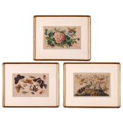 TRE DIPINTI SU CARTA INCORNICIATI, CINA, XIX SECOLO