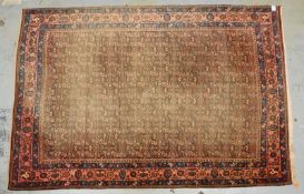 Bidjar, mittelfeine Kn&uuml;pfung, hochflorig; Ma&szlig;e 330 x 225 cm (Flor stark geblichen)