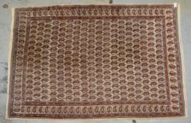 Moud, mittelf. Kn., mit Botehs durchgem.; Ma&szlig;e 314 x 213 cm (Flor stellenw. d&uuml;nn)