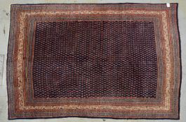 Serabend-Mir, feste Kn&uuml;pfung, hochflorig, Flor in gutem Zustand; Ma&szlig;e 305 x 209 cm