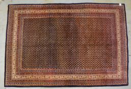 Serabend-Mir, feste Kn&uuml;pfung, hochflorig - in gutem Zustand; Ma&szlig;e 310 x 220 cm