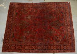 Antiker Sarough, mittelfeine Kn., Flor stellenweise d&uuml;nner - gereinigt und festoniert!