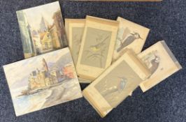 ELLA R BRUCE: (British, 20th Century): A selection of watercolours depicting birds etc.