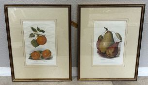 A pair of framed and glazed book prints depicting peaches and pears.