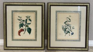 M A BURNETT: (British, d.1856): Two lithographs depicting peppers and olives.
